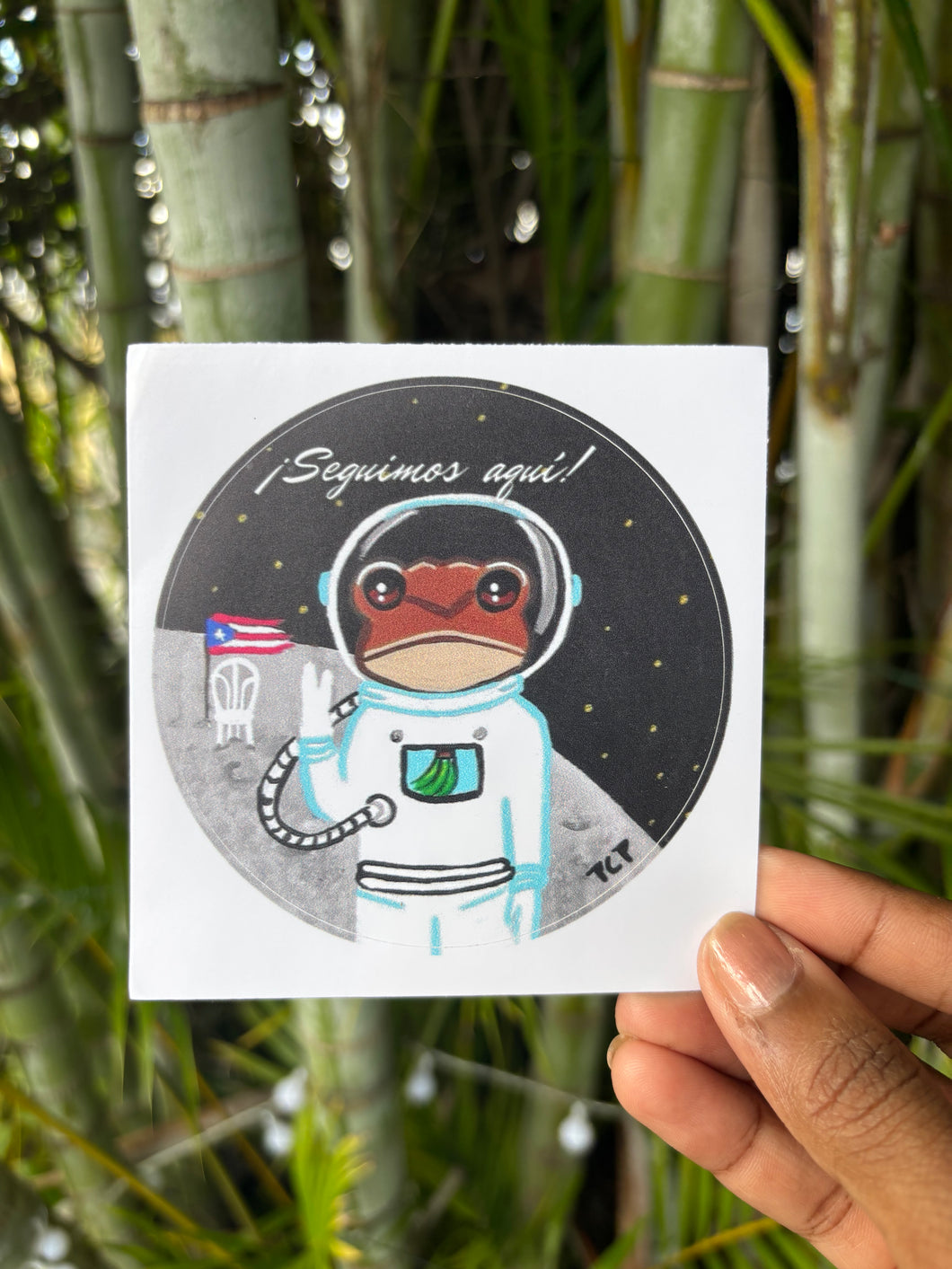 Sticker/ Sapo Concho en la luna.