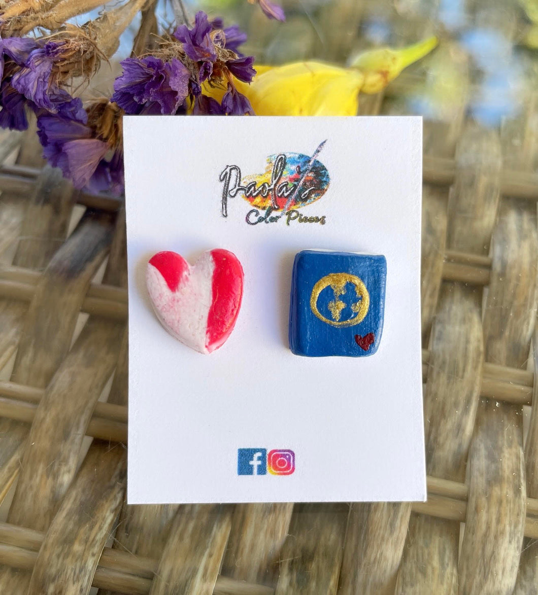 Passport and heart earrings studs